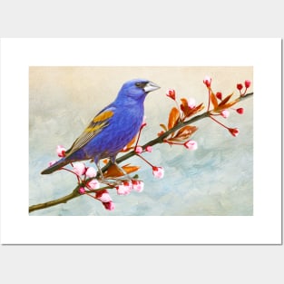 Blue Grosbeak Posters and Art